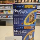 연산동 동물약국 이미지