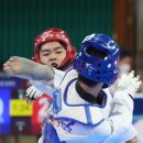 우석태권도 이미지