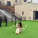 상주농협(1층) | 가평 근교 비비&amp;숑숑 반려견펜션 조식부터 바베큐까지! 숑숑3 복층 4인 숙박후기