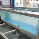 동해물회 | 포항 물회 맛집 여남동해횟집 솔직 포장 후기