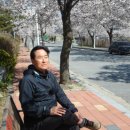 봄나들이(아산온천 벚꽃길)를 다녀왔어요(2020.04.08) 이미지