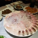 강씨횟집 이미지