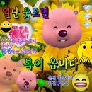 우연한 날