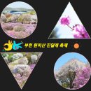 2024년3월31일(일) 부천원미산 진달래 축제 이미지