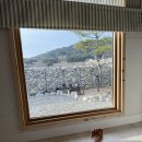 돌담민박 이미지