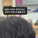 아름헤어샾 - 서구 | 아름헤어샾