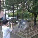 계명공원 이미지