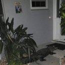 문현관앞 이미지