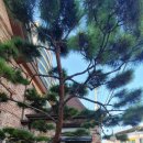 헤일리영어교습소 이미지