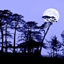 (주)달나라 이미지