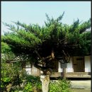 허균,허난설헌기념관 이미지