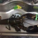 수산자동차공업사 이미지