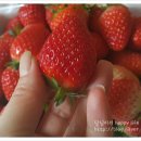 율면농장 이미지