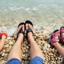 숲속마을파도소리 이미지