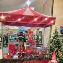 롯데쇼핑(주)롯데식품관평촌점 | [정보공유] 롯데백화점 평촌점 크리스마스 시즌 와인 행사(유원 프리미티보 디 만두리아 구입 후기)