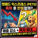 주주익스프레스 | 펫메드 익스프레스, 반등 가능할까