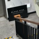 나인본스튜디오 | 강남 언주역 | #블랭크나인 스튜디오 반려견 동반 촬영 후기