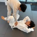 명문체육관 인화도장 | 서산주짓수 제대로 배우는 곳, 종합격투기 전문관 MMASTORY 후기