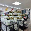 대구 크레스티드 게코 입양 후기 크레아트 파충류샵 분양