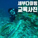 오전통합반 | 필리핀〃세부 4박6일 #03 :: 막탄 - 스쿠버다이빙 오픈워터+어드밴스드 통합반 후기