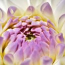 화곡한의원 이미지