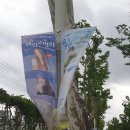 숲속 열린 음악회 with 이현공원 (거미,김장훈) 이미지