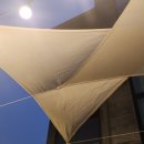 레인보우여행사주 이미지