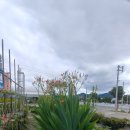 난전농장 이미지