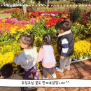 🌸유림공원-국화축제🌼 이미지