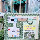 해솔캠핑장 | 일상 가을 캠핑 홍천해솔오토캠핑장 재방문 후기