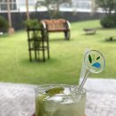 이구아수 | 이과수폭포 옆 작은 파라다이스, 브라질 이구아수 리칸토 리조트 솔직 후기 | Recanto Cataratas...