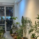 쉐프엠 부천상동점 | [인청/청라][부천/상동] 2025년 어느하루 일상 블로그 기록(20251218/자뎅 드 모네/고쉐프/소진담)