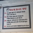 바보형제쭈꾸미영주점 | [경북 영주] 메뉴선정이 힘든 막내를 위한 점심맛집 추천