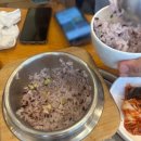 뼈나라감자탕 | 용인 보정동 맛집 솥밥 주는 "뼈나라 감자탕" 찐후기 💚