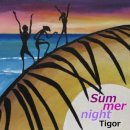 추억의 PopSong 01-One Summer Night 이미지