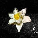 한낮의 꿈 이미지