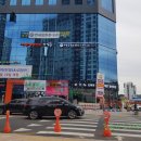 새샘약국 이미지