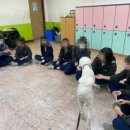 전주근영중학교 이미지