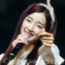 원더랜드학원
