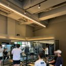 페르소나 피티샵 이미지