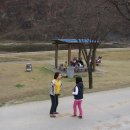 의성 구봉공원 산책로에도 벚꽃이 만발해요 ^^ 이미지