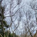 모구리야영장(체력단련장) | 가성비 좋은 제주 동쪽 성산읍 모구리야영장 정보