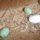 선재농장 이미지