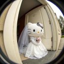 [wedding ep 3] 본식스냅_딥다운그린 계약 후기🌿
