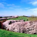 백제목장 이미지