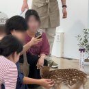 주식회사 초록마루