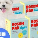 뽀송강아지 이미지