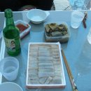 여수수산홍어 Daum카페