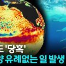 [자막뉴스] "이런 거 본 적 없다"...올 여름 심상치 않은 조짐 / YTN 이미지