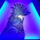 킹스PC방 2호점 이미지